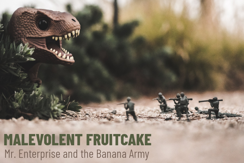 Album Cover for Mr. Enterprise and the Banana Army